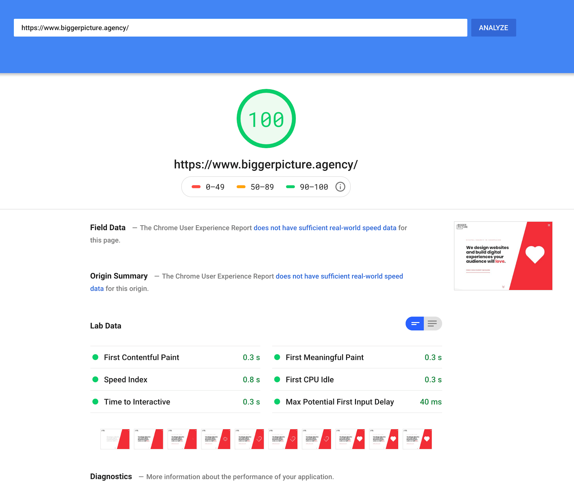 Bigger Picture's page speed scoring 100