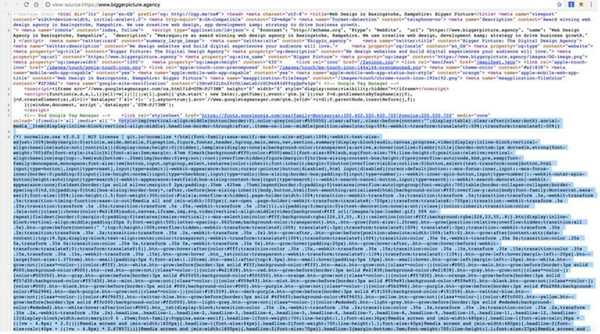Critical CSS Path